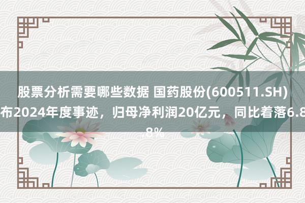 股票分析需要哪些数据 国药股份(600511.SH)发布2024年度事迹，归母净利润20亿元，同比着落6.8%