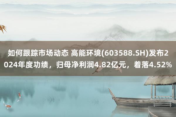 如何跟踪市场动态 高能环境(603588.SH)发布2024年度功绩，归母净利润4.82亿元，着落4.52%